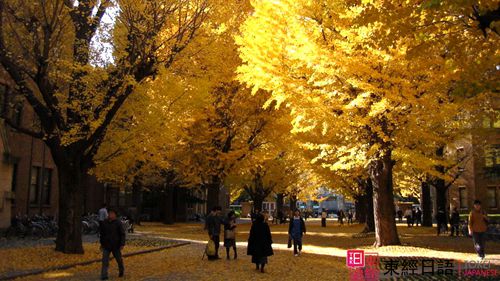 日本留学-苏州日语培训-苏州新区日语培训