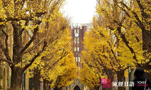 日本留学-日本东京大学-东京大学怎么考