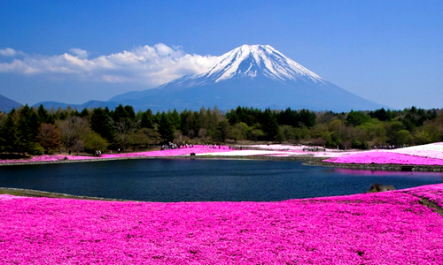 日本旅游-苏州日语-苏州日语培训