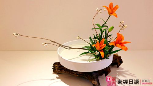 小原流日本插花-苏州日语-苏州日语培训