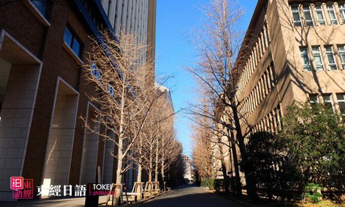 日本京都大学-日本留学院校-日本文学