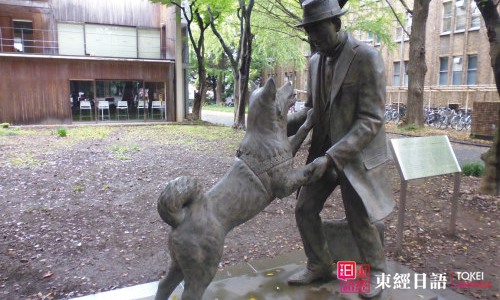 东京大学农学资料馆-苏州日语