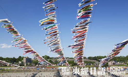 相模川鲤鱼旗会-日本文化祭